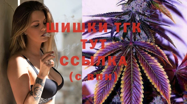spice Верхний Тагил