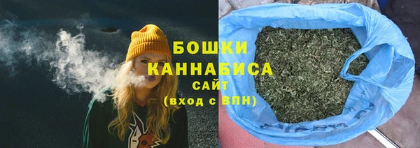 spice Верхний Тагил